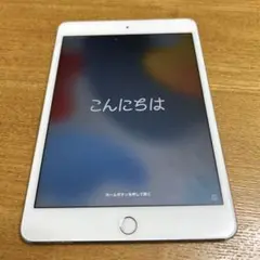 iPad mini 4