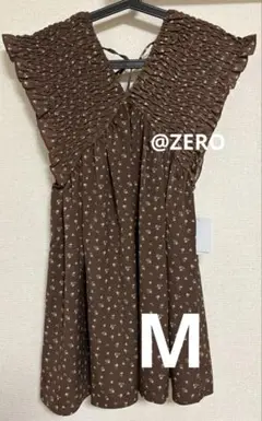 Item thumbnail for item 0d534c92-2c41-44a1-ab81-8b11b75e45eb