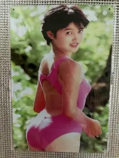 未開封　荻野目洋子　オマージュアルミプレートブリキ看板① セクシー　かわいい