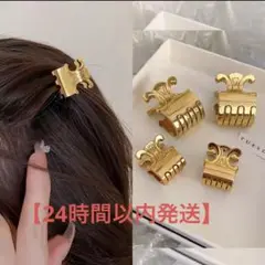 CELINE セリーヌ ヘアクリップ 2個セット