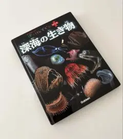 『はっけんずかん　深海の生き物』