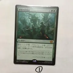 MTG 森林の目覚め 1枚