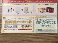 スタジオマリオ　記念写真プレゼント券　クーポン券