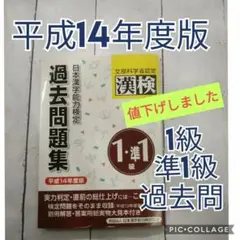 平成14年度版 漢検 1/準1級 過去問題集 (解答用紙付き)【送料無料】