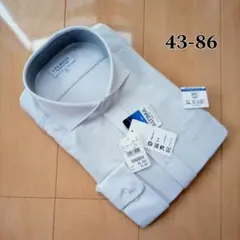 Item thumbnail for item 5c7352c7-3370-45ff-99d8-e4ae1e11178c