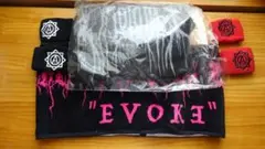 活動無期限休止!ALDIOUS2019-EVOKE-tourグッズ」会場限定販売