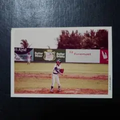 沢田研二 生写真 96