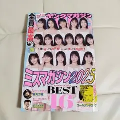 Item thumbnail for item a66be0f0-1171-4eee-84ce-d6e1170376cd