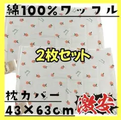 Item thumbnail for item 85cff172-7d7e-4ebf-873a-1cdceeed9ab1