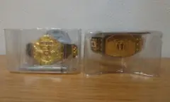 Item thumbnail for item b873fbe4-6812-484c-b75d-82b0f6efe3d1