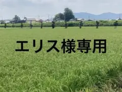 ご当地キティ　ぬいぐるみ　上州温泉巡り ⌇SANRIO⌇ハローキティ ご当地キティ 上州温泉 ぬいぐるみ 当時