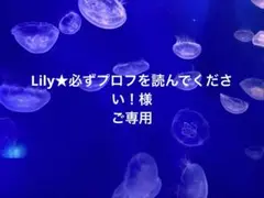 シーリングスタンプヘッド　くま