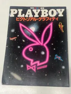 PLAYBOY ピクトリアル・グラフィティ