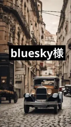 コーヒー染めセット！ bluesky様
