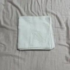 ウェディング　刺繍入りホワイトハンカチ　イニシャル　K
