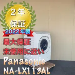 Panasonic NA-LX113AL ドラム式洗濯機 分解洗浄 ヒートポンプ