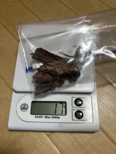 【染料】mimosa hostilis 10g 【サンプル用】