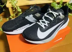Nike Air Zoom Rival Fly ランニングシューズ