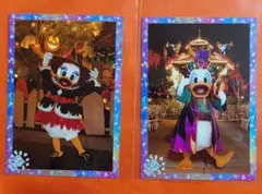 ディズニーランド　スペフォ　ドナルド　デイジー　25周年　ハロウィン　写真