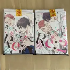 美品　何かいいの見つけた！Re: ひなこ　1・2巻セット