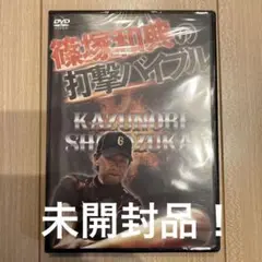 篠塚和典の打撃バイブル DVD 野球トレーニング用