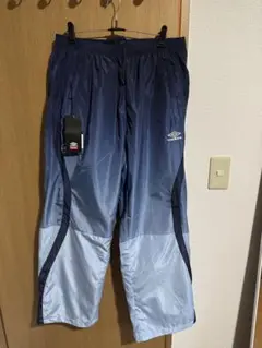 Item thumbnail for item 7f2d052c-4060-4e23-9adc-b7130c4f2d0c