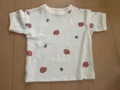 ソフトチーズ ポメラニアンT90