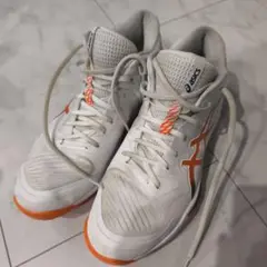 Item thumbnail for item f7cefdb5-ccf3-40e2-ace6-8fce738f30c6