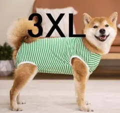 Item thumbnail for item 8cdc1f7d-b8cc-4b6d-927b-d64824c75b12