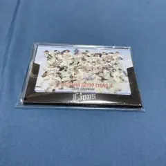 埼玉西武ライオンズ 2025カレンダー