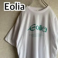 オールド ヴィンテージ ナショナル エオリア Tシャツ 企業物 徳永英明