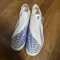 アディダス　プレデターエッジ．1 トレシュー 25.0cm
