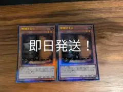 遊戯王　増殖するG レリーフ　2枚セット　即日発送