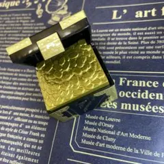 伝説の宝箱　Ⅳ　黄金の国編 レア 輝く黄金の宝