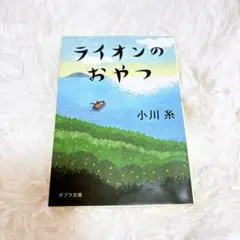 【匿名配送】【即日翌日発送】ライオンのおやつ