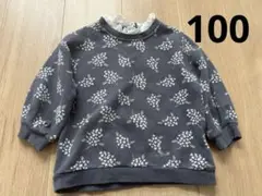 Item thumbnail for item c2908845-d120-4820-bcf3-500c194ebc9a