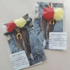 リバティアイランド ポンポン ヘアゴム チャーム 2点セット