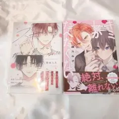商業BL まとめ売り 2冊