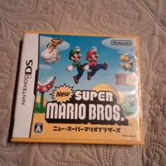 DS ニュースーパーマリオブラザーズ