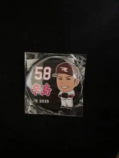 楽天イーグルス　辛島航　缶バッジ2025