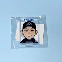河野竜生