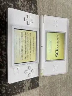 ニンテンドーDS Lite ホワイト 本体+ おまけ