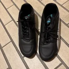 Item thumbnail for item 03960c27-b314-4abf-99ff-7faf4d0087cf