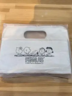 スヌーピーと仲間たち　すっきり収納キャリーボックス