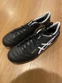 アシックス DS LIGHT X-FLY 4 26.0cm
