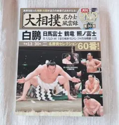 大相撲名力士風雲録 30