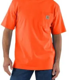 新品 CARHARTT ポケットTシャツ