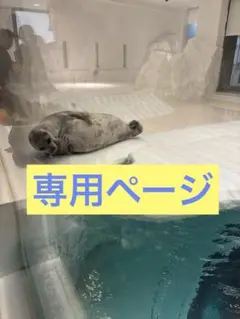 フォリフォリ　ロゴネックレス　新品