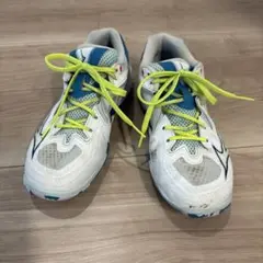 Item thumbnail for item 7f3582e2-452f-4541-bab4-613786b6546f