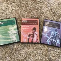 理学操体セミナー 力を使わず座ったままでも瞬間に腰痛を解放